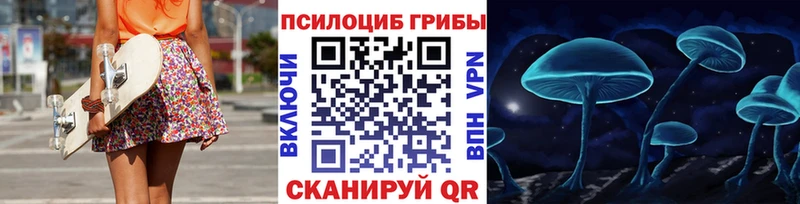 Галлюциногенные грибы Psilocybine cubensis  Купить где  Армавир 